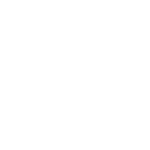 AVM